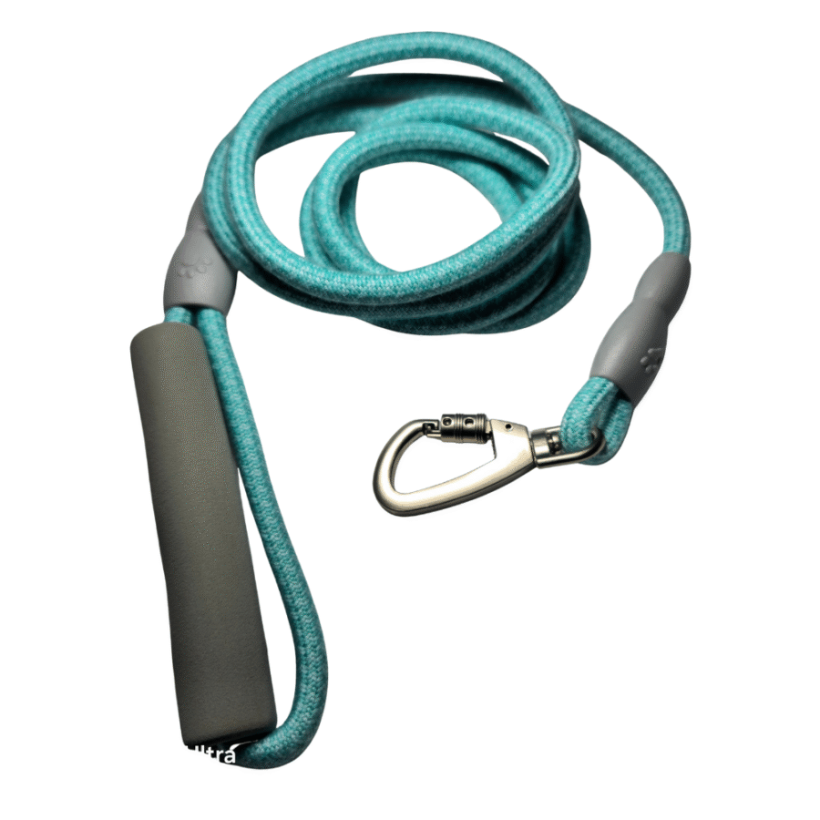 Correa de Paseo Firme & Cómoda de 0,8 cm x 3 mts