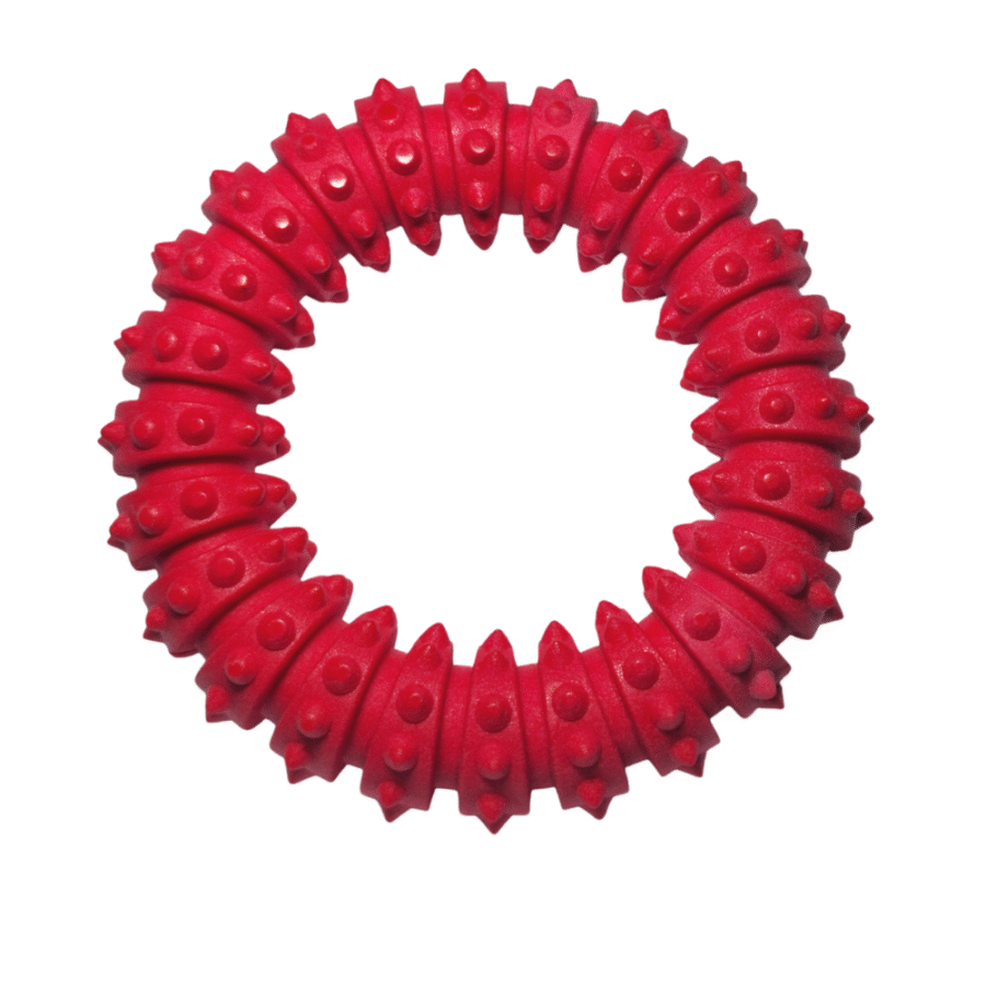 Aro para Morder + Limpieza Dental