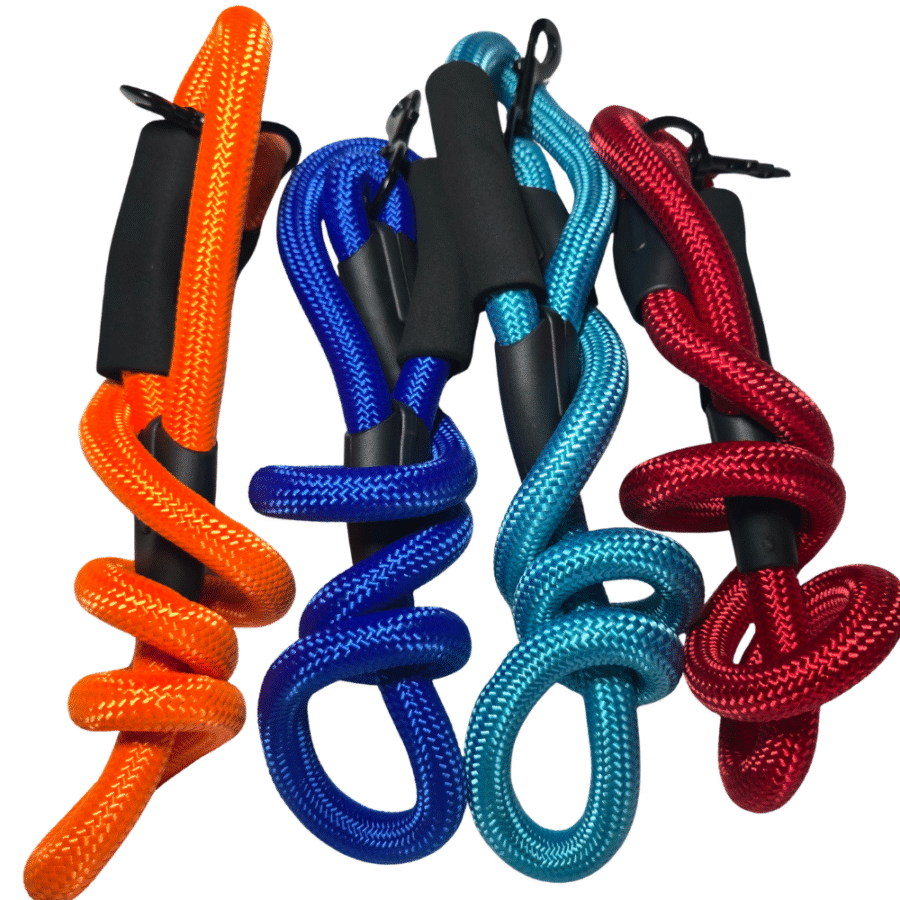 Correa de Paseo para Razas Grandes